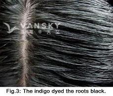 240312160210_Hair-Dyed with indigo-s.jpg